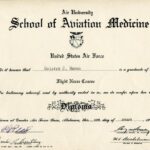 1991-019/015 - Diploma