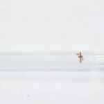 1989-041/001a-b - Syringe, Medical