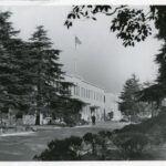 1990-040/009 - Photograph