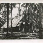 2007-002/026 - Photograph