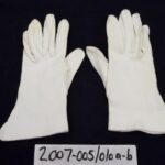 2007-005/010a-b - Glove
