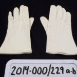 2014-000/229a-b - Glove