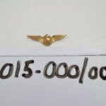 2015-000/005 - Pin, Military
