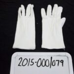 2015-000/079a-b - Glove